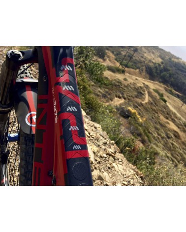 Protector de cuadro AMS Honeycomb Clear