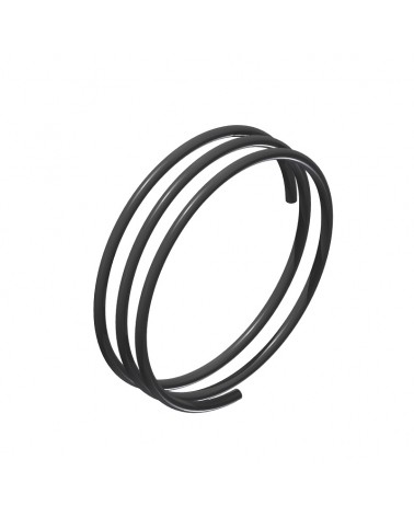 Muelle Dt Swiss Ratchet EXP