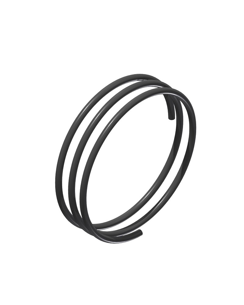 Muelle Dt Swiss Ratchet EXP