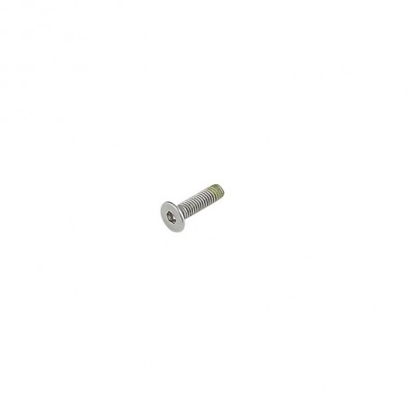 Tornillo para Puntera Trek Carretera M3x0,5x12 mm