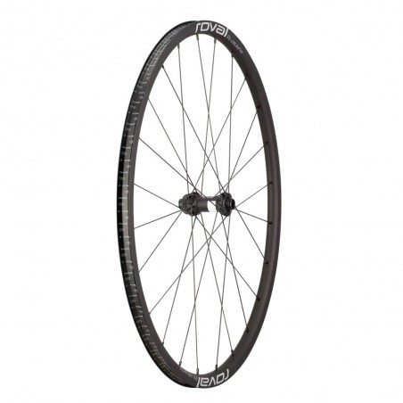 Ruedas Roval Alpinist Slx Disc Black/Charcoal