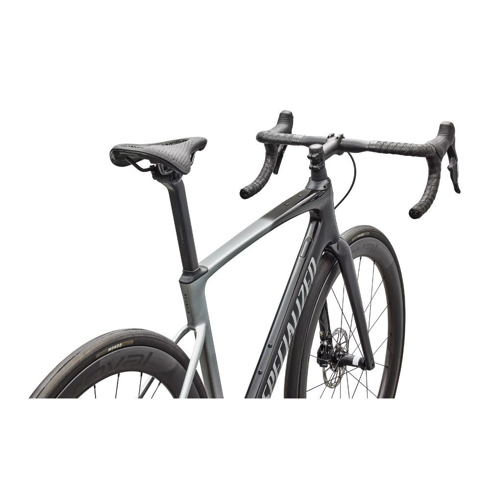Bicicleta Specialized Roubaix Pro Gloss Carbon/Shadow Silver 2026