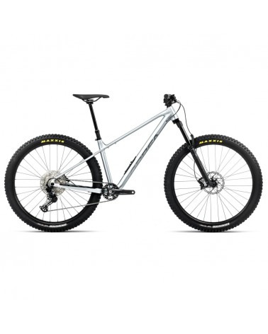 Vélo Orbea LAUFEY H10 Smooth Silver (mat) - Titanium (brillant) 2026