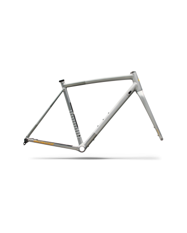 Cuadro Specialized CRUX DSW  Shadow Silver/California Sunshine 2026