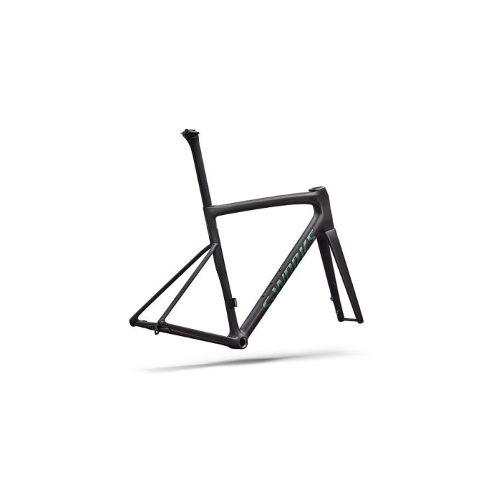 Cadre Specialized S-Works Tarmac Sl8 Rtp Raw Carbon / Gloss Premium Fjord 2026