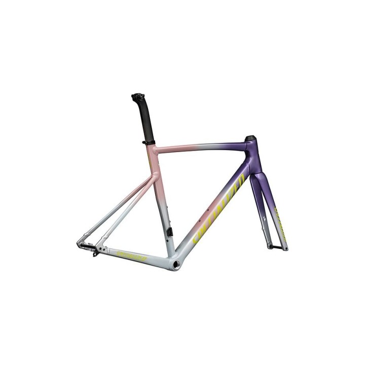 Cadre Specialized Allez Sprint Satin Dusty Pink Multicolor Radial Fade / Ion Metallic 2026