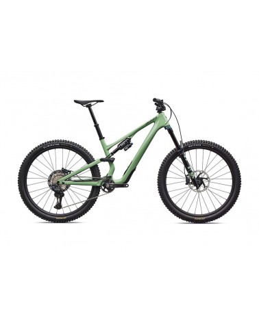 Vélo Specialized Stumpjumper 15 Evo Expert Di2 Gloss Pistachio / Dark Moss Green 2026