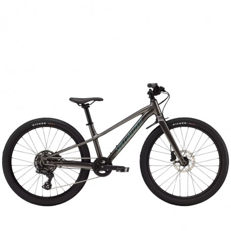 Vélo Specialized Riprock 24 Gloss Smoke / Fjord Metallic