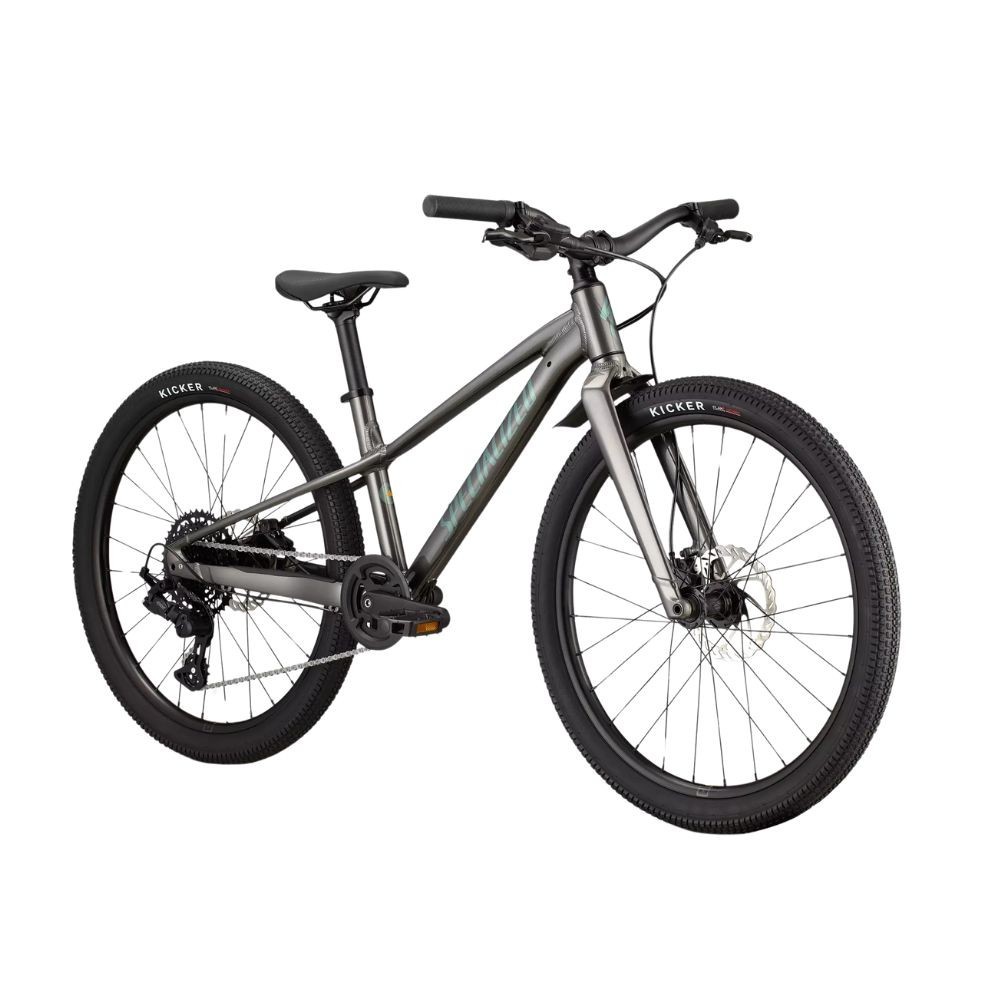 Bicicleta Specialized Riprock 24 Gloss Smoke / Fjord Metallic