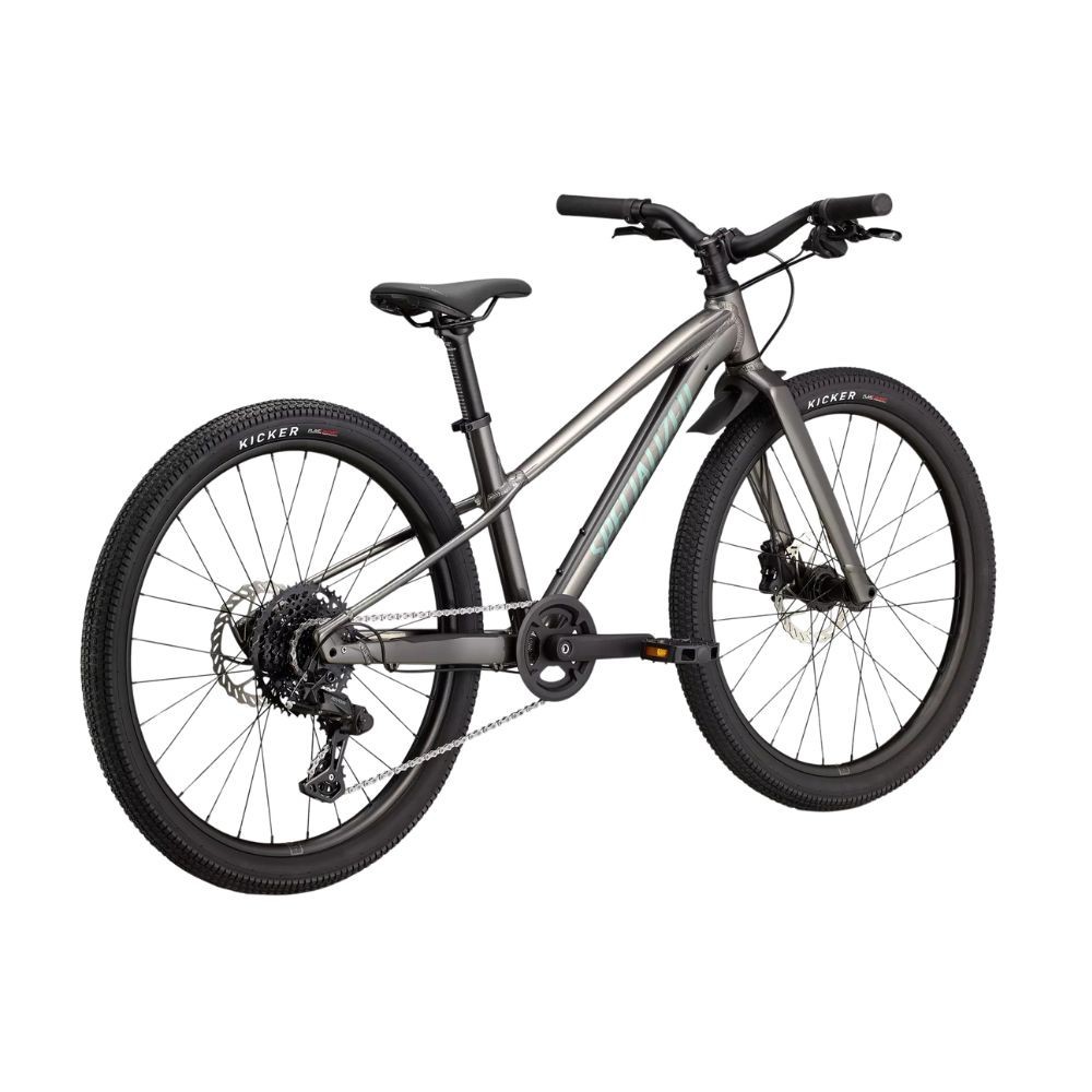 Bicicleta Specialized Riprock 24 Gloss Smoke / Fjord Metallic