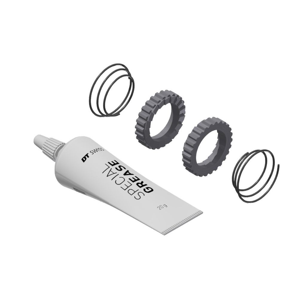 Kit de service cliquets DT Swiss Ratchet 24 dents | Pièces de rechange pour moyeux
