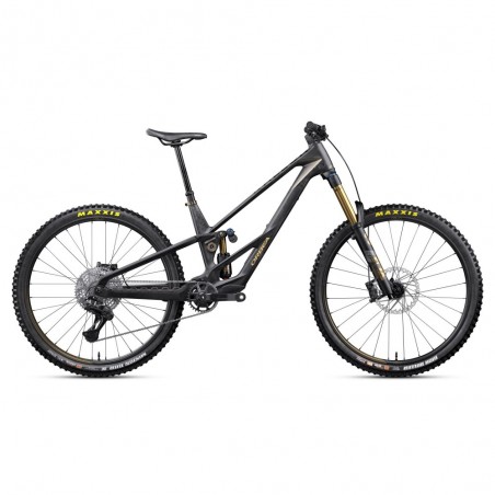 Vélo Orbea RALLON RS-TEAM Fuel Carbon View - Magic Gold (Matt) 2027