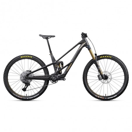 Bicicleta Orbea RALLON RS-LTD Fuel Carbon View - Magic Gold (Matt) 2027