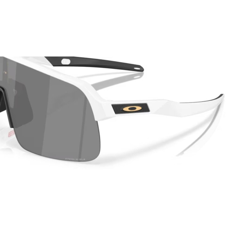 Lunettes Oakley Sutro Lite S Verres prizm black/Monture matte white