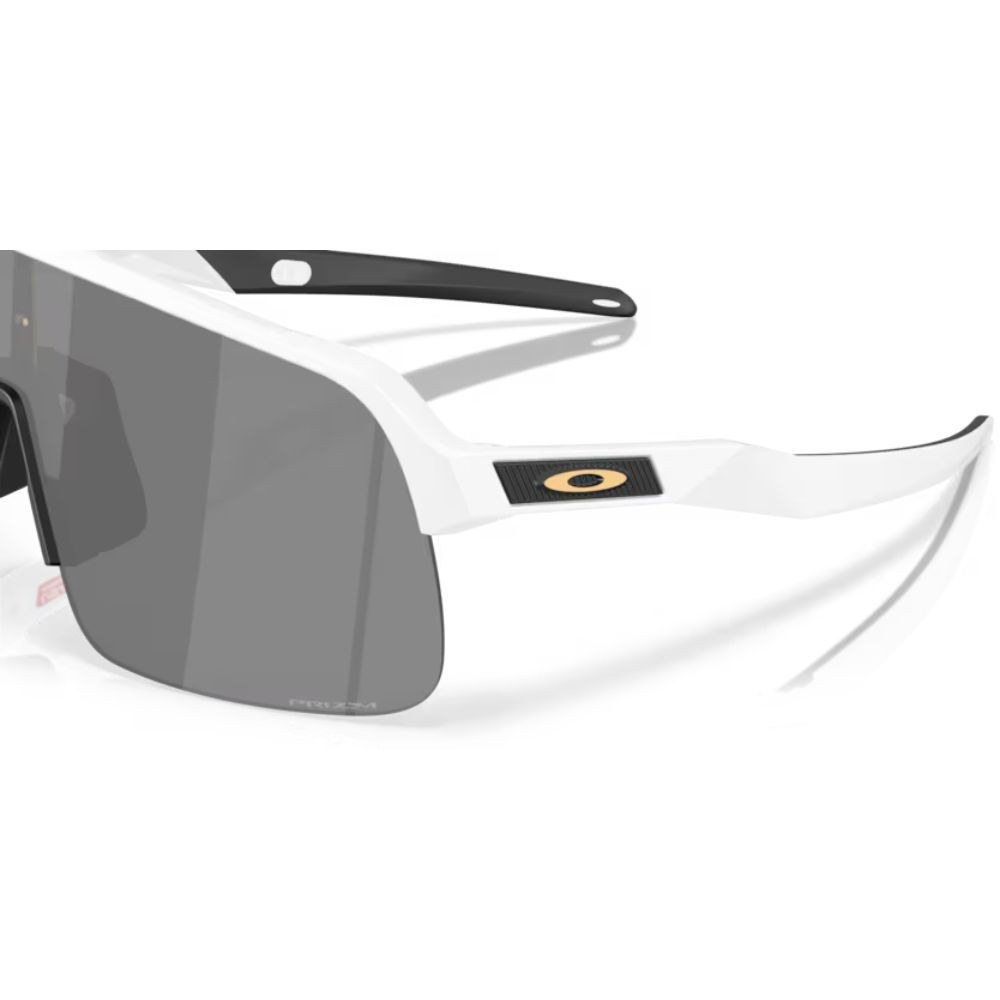 Lunettes Oakley Sutro Lite S Verres prizm black/Monture matte white