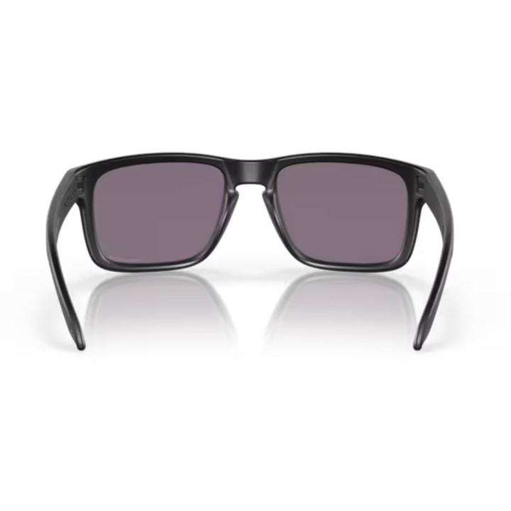 Gafas Oakley Holbrook Lentes prizm grey/Montura matte black