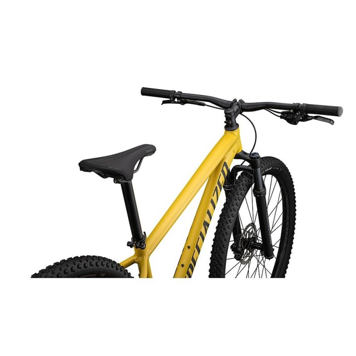 Vélo Specialized Rockhopper Expert, couleur Satin Metallic Sulphur/Obsidian