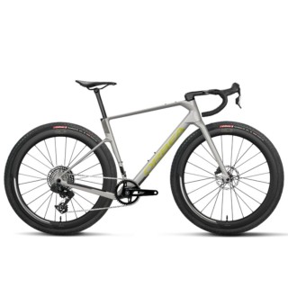 Vélo Orbea Terra Race M31Eltd 1X Custom, couleur Argent métallisé étincelant/Anthracite pailleté
