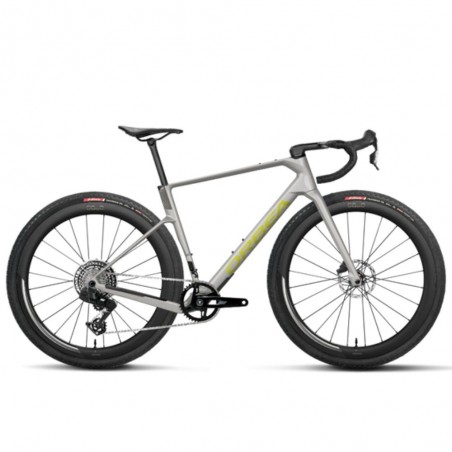 Vélo Orbea Terra Race M31Eltd 1X Custom, couleur Argent métallisé étincelant/Anthracite pailleté