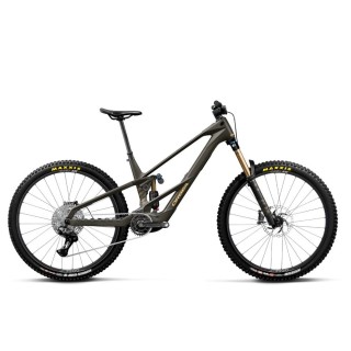 Vélo Orbea WILD LT M10 Magic Gold C. View (mat) - Titan Gold (brillant)