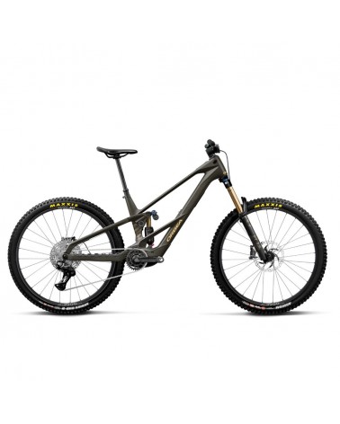 Vélo Orbea WILD LT M10 Magic Gold C. View (mat) - Titan Gold (brillant)
