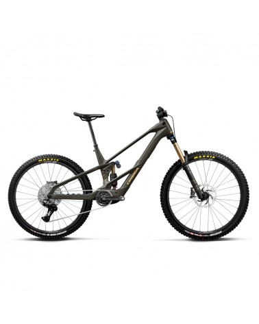 Vélo Orbea WILD/M LT M10 Magic Gold C. View (mat) - Titan Gold (brillant) Mullet