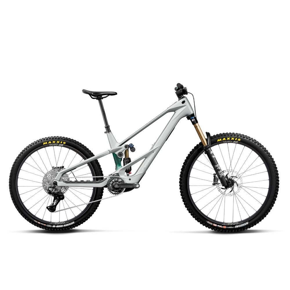 Bicicleta Orbea WILD/M LT M10 Smooth Silver (Matt) - Escape Green C. View (Gloss) Mullet