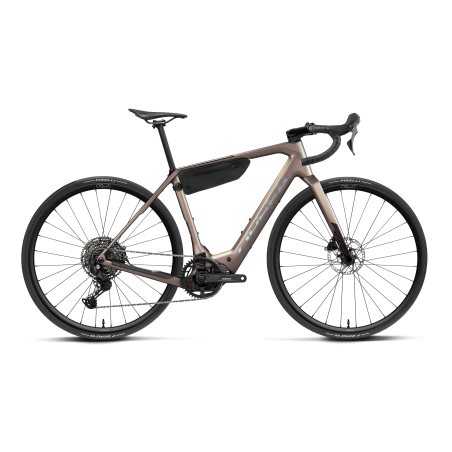 Bicicleta Orbea Denna M40 Nickel Matt - Carbon Raw Gloss