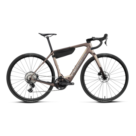 Bicicleta Orbea Denna M30 Nickel Matt - Carbon Raw Gloss