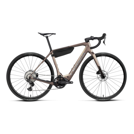 Bicicleta Orbea Denna M20 Nickel Matt - Carbon Raw Gloss